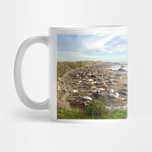 Elephant Seals in California Mug